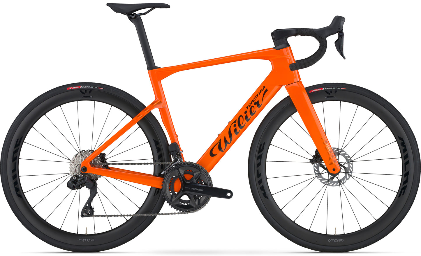 Rapida – Wilier USA